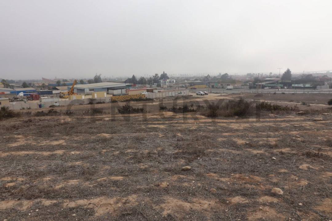 Elqui, Coquimbo 00001, צ'ילה 