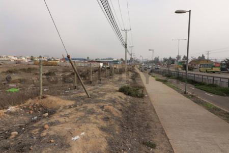 Elqui, Coquimbo 00001, צ'ילה 