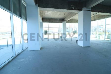 Elqui, Coquimbo 00001, צ'ילה 