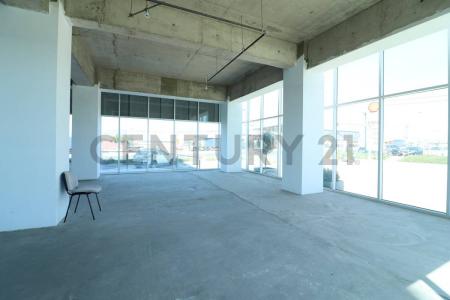 Elqui, Coquimbo 00001, צ'ילה 