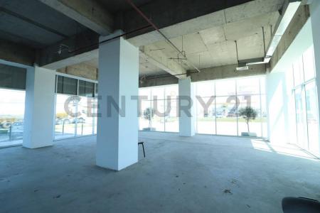 Elqui, Coquimbo 00001, צ'ילה 