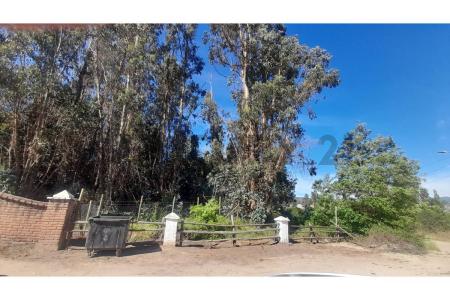 Melipilla, Región Metropolitana De Santiago 00001, Cile