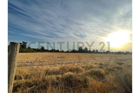 Chacabuco, Región Metropolitana de Santiago 00001, Chile