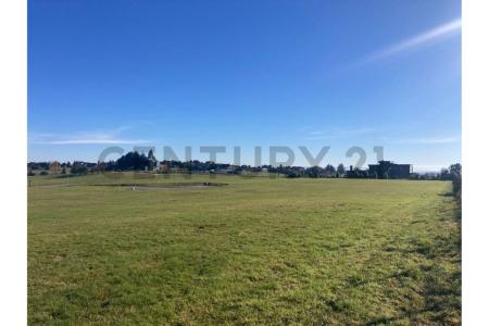 Llanquihue, Los Lagos 00001, تشيلي 