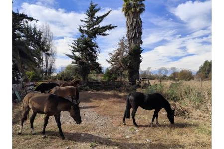 Maipo, Metropolitana De Santiago 00001, Chile