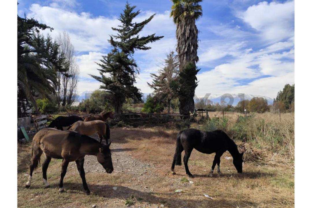 Maipo, Metropolitana De Santiago 00001, Chile