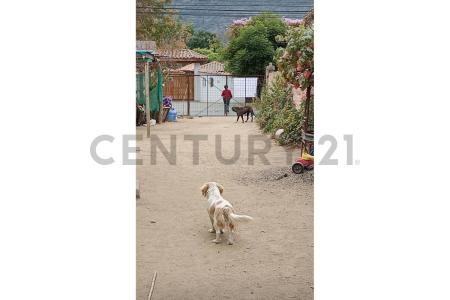 Quillota, Valparaíso 00001, Chili