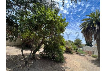 Valparaíso, Valparaíso 00001, צ'ילה 