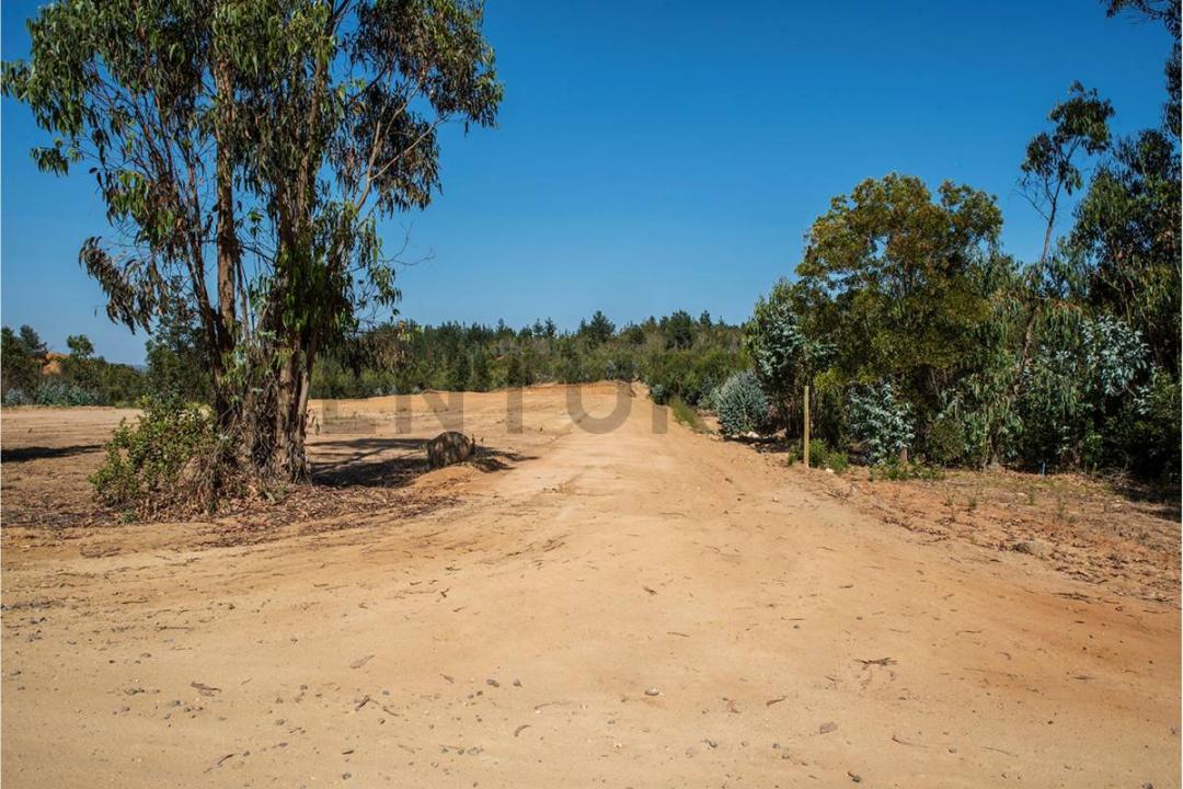 Valparaíso, Valparaíso 00001, تشيلي