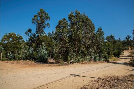 Valparaíso, Valparaíso 00001, تشيلي
