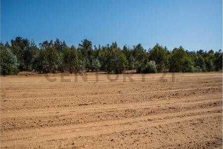 Valparaíso, Valparaíso 00001, تشيلي