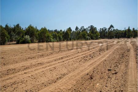 Valparaíso, Valparaíso 00001, تشيلي