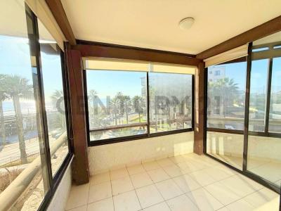 Elqui, Coquimbo 00001, Chile