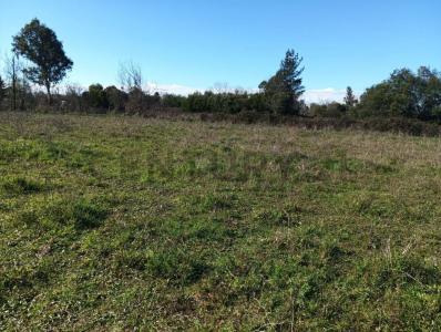 Punilla, Región De Ñuble 00001, Chile