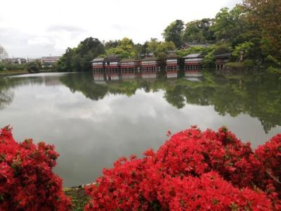 梅が丘１丁目, 長岡京市, Kyoto 617-0841, Japan