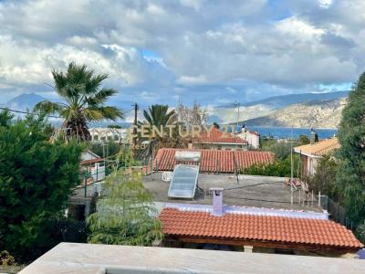 Alepoxori, Rest Of Attica, Greece