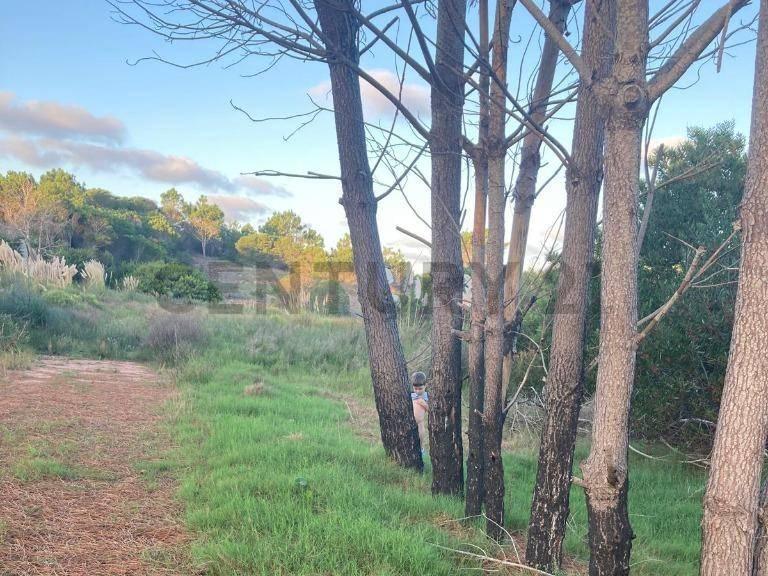 1 solares 8458 8459 8460 8461, La Esmeralda, Rocha 00001, Urugwaj