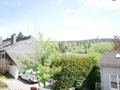 Schmitten, Hessen 61389, Niemcy