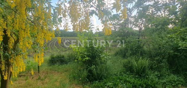 Norderstedt, Andalucia 22844, Germania