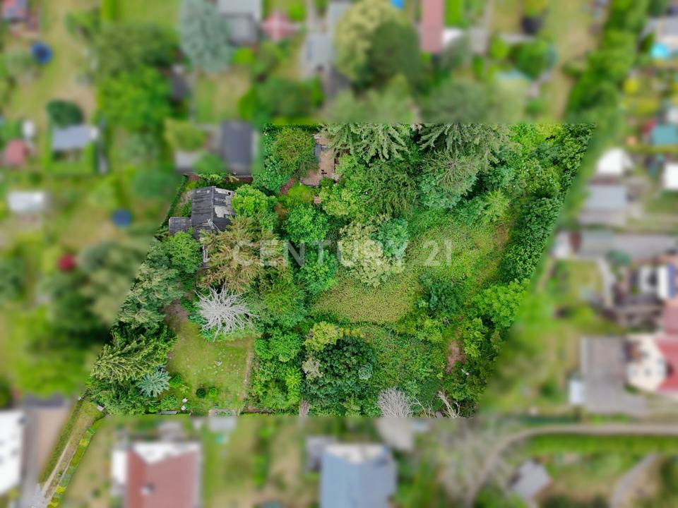 Dresden, Sachsen 01239, גרמניה