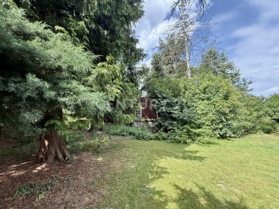 Dresden, Sachsen 01239, גרמניה