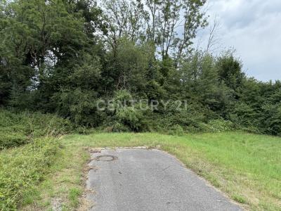 St. Georgen, Bayern 83368, Alemanha