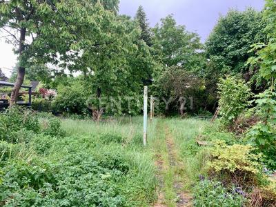 Schenefeld, Andalucia 22869, גרמניה