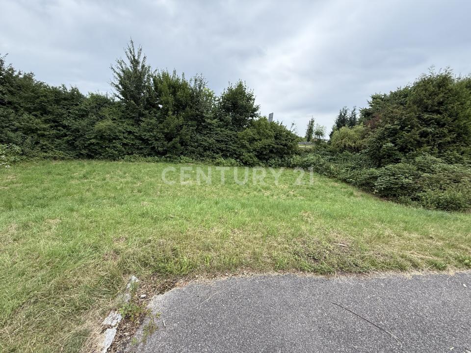 St. Georgen, Bayern 83368, Germany