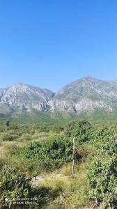 García, Nuevo León 66005, Messico