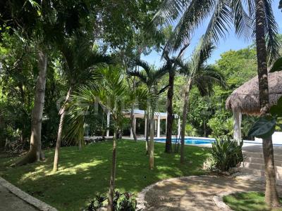 PlayaCar SN, Solidaridad / Riviera Maya, Quintana Roo 77717, Mexico