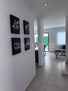 Cto. Coconaco Palmilla Residencial 3206, Mazatlán, Sinaloa 82112, Mexico