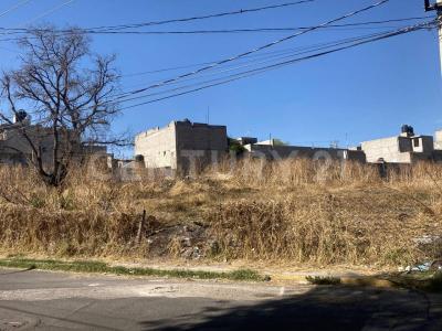 Camino Real al Pueblo de Santa Catarina Lt1, Tláhuac, Ciudad De México 13100, Mexico