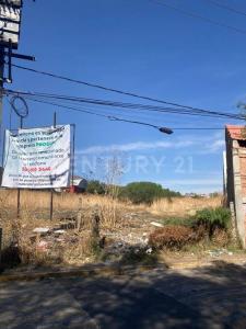Camino Real al Pueblo de Santa Catarina Lt1, Tláhuac, Ciudad De México 13100, 墨西哥