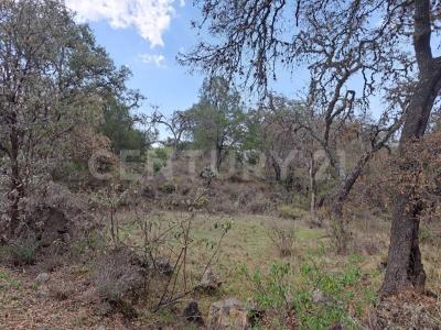 Terreno rustico en venta de 503 M2 en Guadalupe Texcalac Ideal para casa de campo, Apizaco, Tlaxcala 90300, Mexique