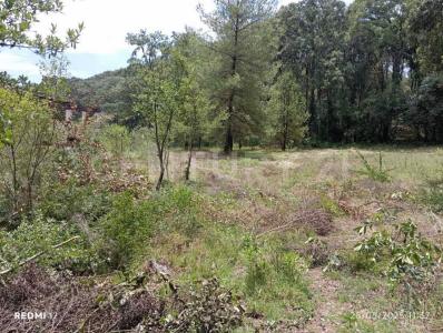 Cerrada Valle 9, Parcela 335Z12 P1/1, Jilotzingo, Estado De México 54570, Mexico