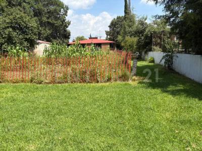 PORFIRIO DIAZ SN, Tlaxcala, Tlaxcala 90110, Messico