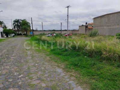 Camino a las Granjas S/N - Lote 12 - Manz 43 S/N, Tlajomulco De Zúñiga, 哈利斯科 45645, 墨西哥