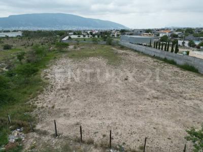 nogal 233, Monterrey, Nuevo León 64103, Mexico