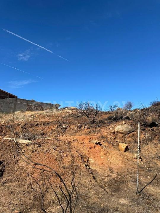 RUTA DEL VINO/ MEXICO 0, Tecate, Baja California 21530, Messico