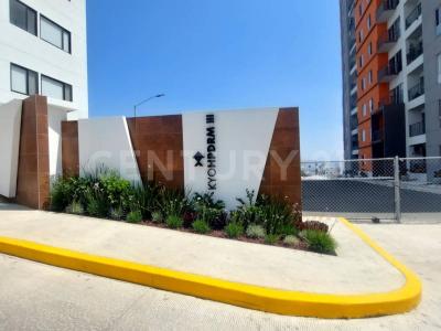 del coral 13305, Tijuana, Basse-Californie 22106, Mexique