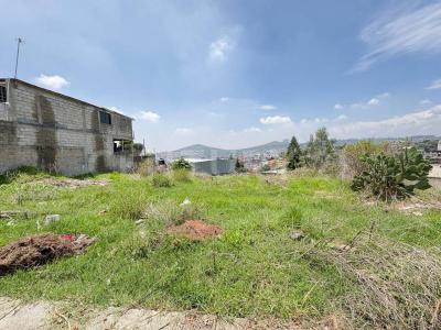 Alberto García Granados , Atizapán De Zaragoza, ولاية مكسيكو 52966, المكسيك