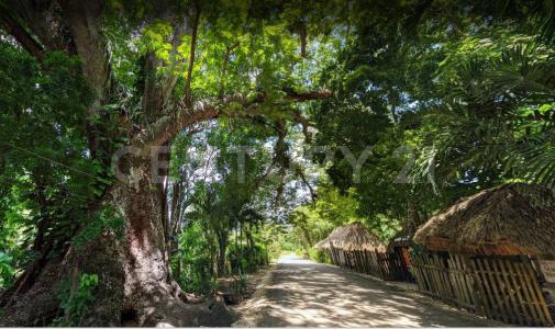 sn sn, Lázaro Cárdenas, Quintana Roo 77330, México