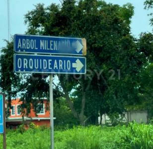 sn sn, Lázaro Cárdenas, Quintana Roo 77330, México