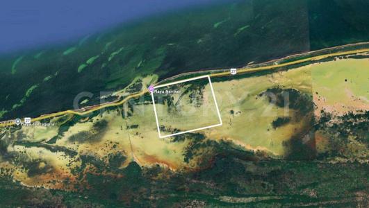 Tizimin, Yucatan 97715, Messico