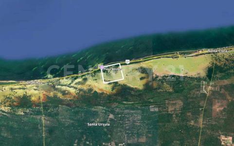 Tizimin, Yucatan 97715, Messico