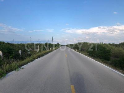 Tizimin, Yucatan 97715, Messico