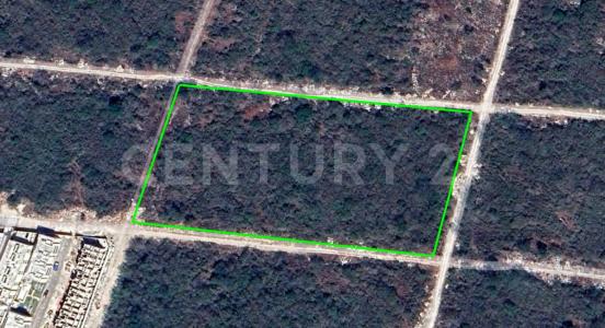 Mérida, Yucatan 97300, Mexico