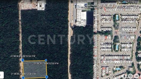 Tinaja , Cancún/Benito Juárez, Quintana Roo 77500, Mexico