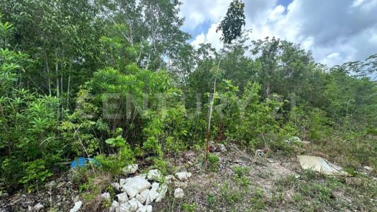 Tinaja , Cancún/Benito Juárez, Quintana Roo 77500, Mexico