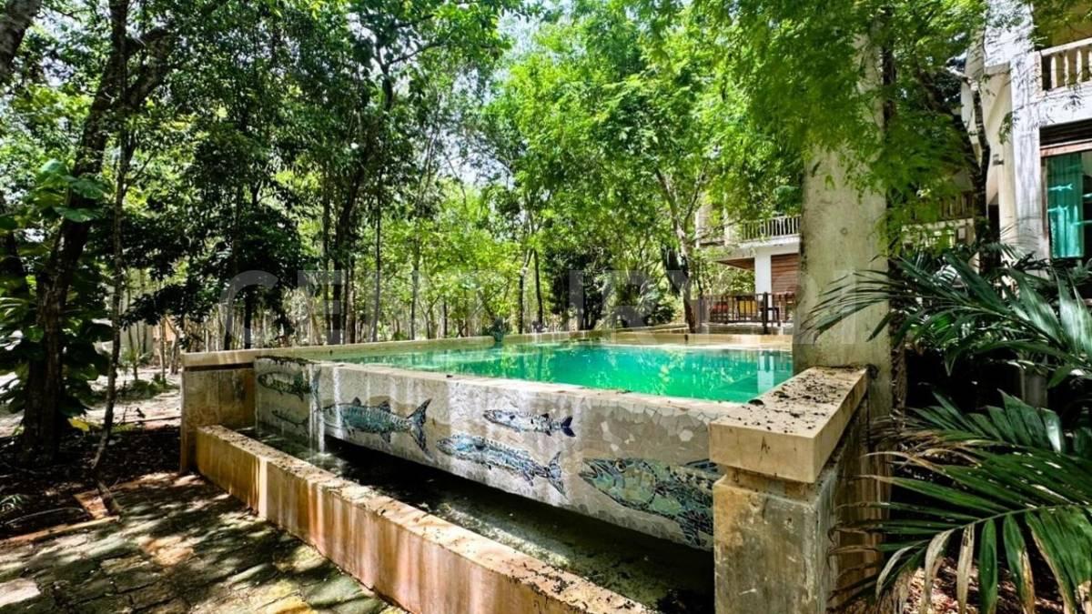 Las flores , Cancún/Benito Juárez, 金塔纳罗奥 77500, 墨西哥